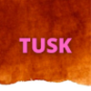 Dena Griffith - @tuskportland - Poshmark